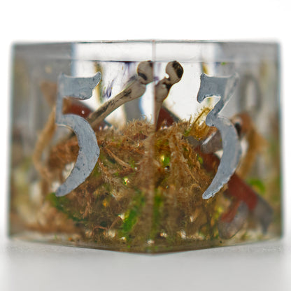 Field of the Fallen Dice